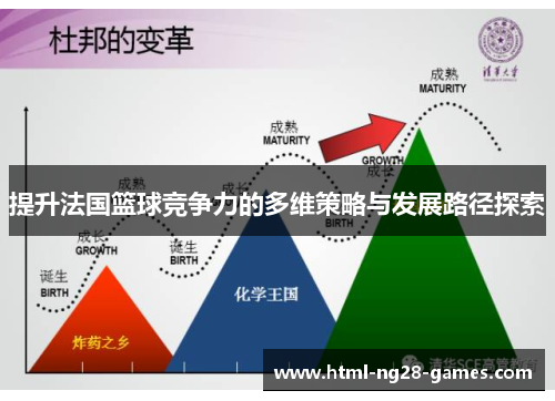提升法国篮球竞争力的多维策略与发展路径探索